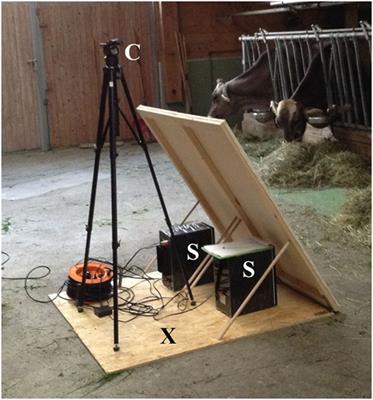 Regular Exposure to Cowbells Affects the Behavioral Reactivity to a Noise Stimulus in Dairy Cows